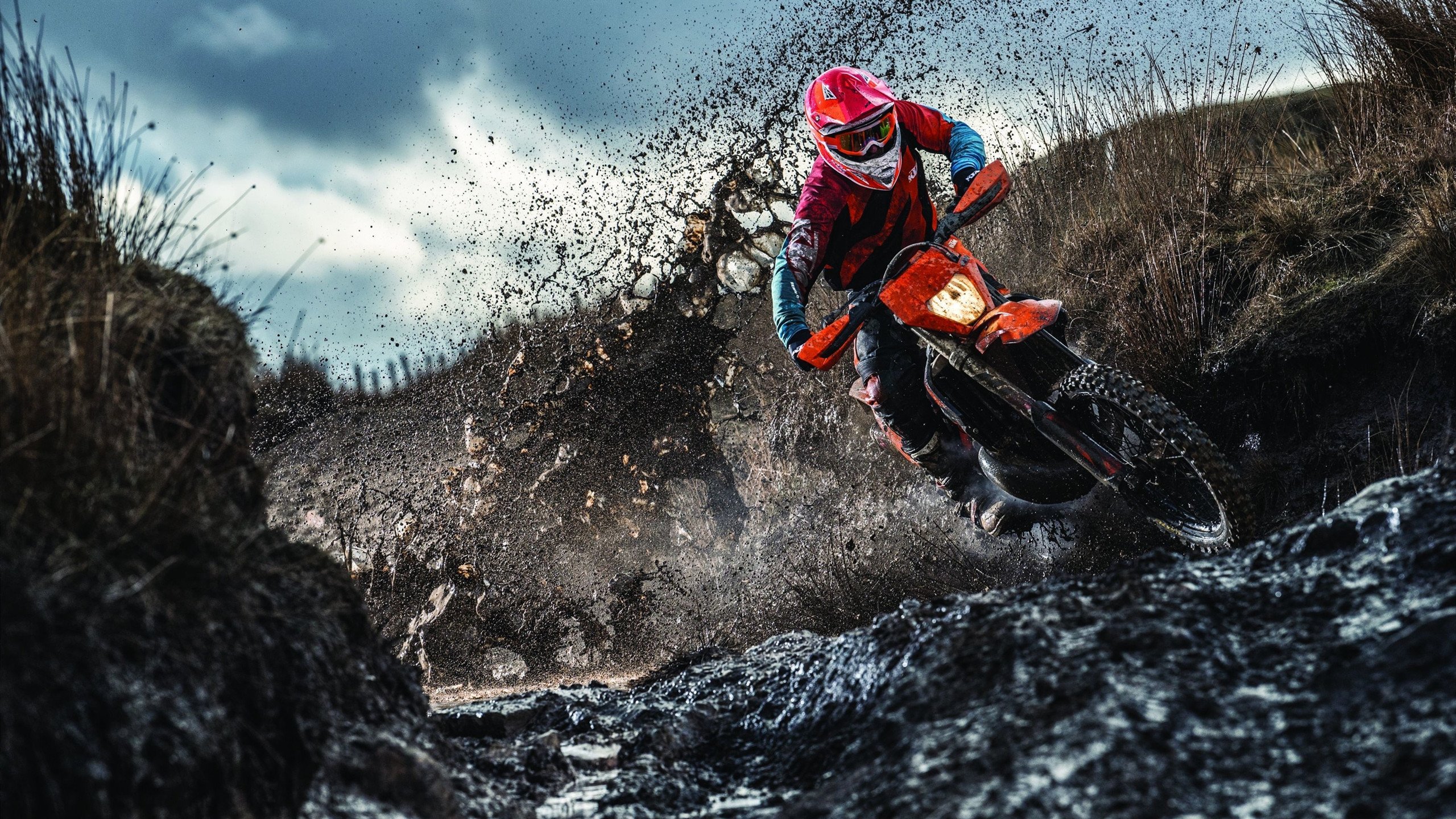 赛道上的魔法师,哈利伯顿点燃F1街道赛之夜